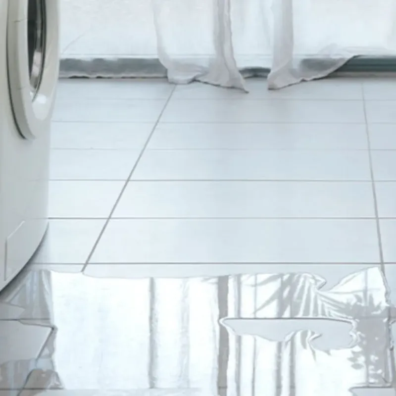 Appliance Leak Cleanup in Dallas County, AL