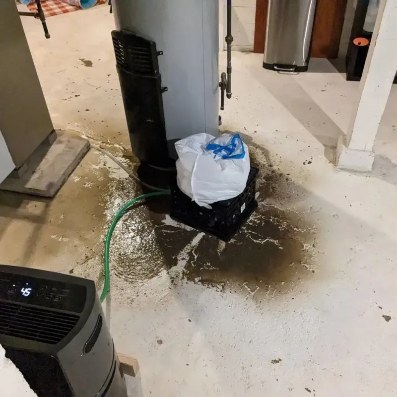 Sewage Backup Cleanup Service in Dallas County, AL